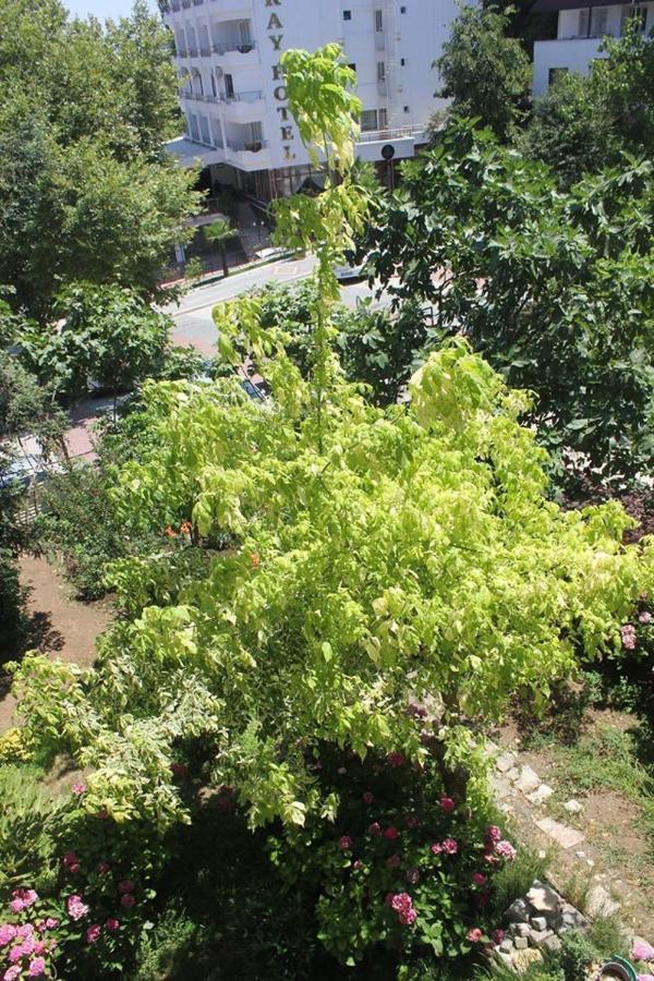 Thermal Orkide Pansiyon Ялова Экстерьер фото